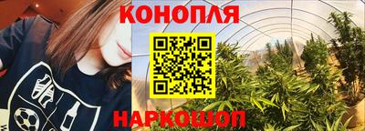 spice Усть-Илимск