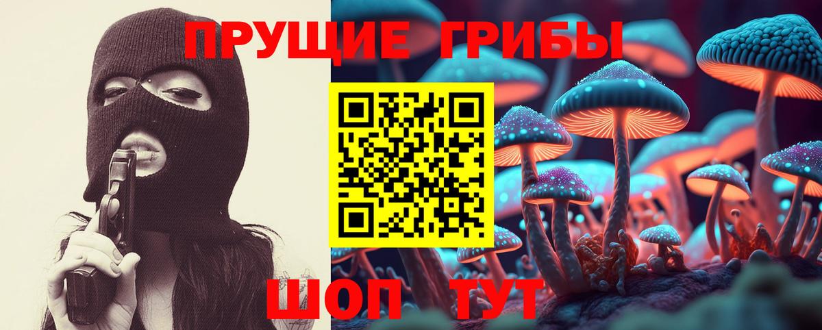 Псилоцибиновые грибы мицелий Нурлат