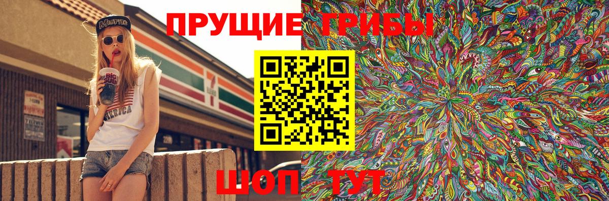 дарнет шоп  Псилоцибиновые грибы Cubensis  Вход с VPN  Нурлат  Псилоцибиновые грибы Psilocybe 